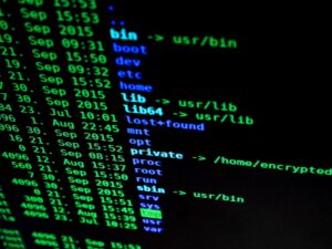 Blockchain und Cybersecurity: Wie sichere Datenübertragung gewährleistet wird