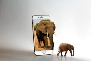 Die Zukunft der Cybersicherheit in Afrika